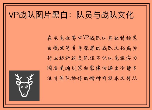 VP战队图片黑白：队员与战队文化