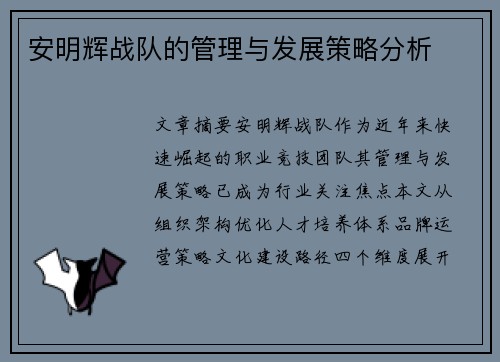 安明辉战队的管理与发展策略分析