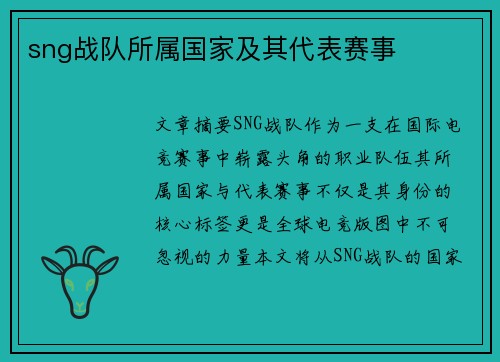 sng战队所属国家及其代表赛事